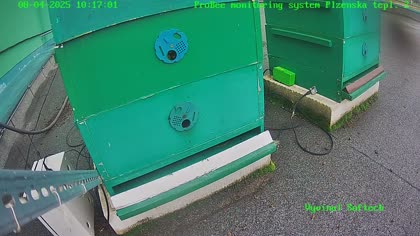 2025-08-05