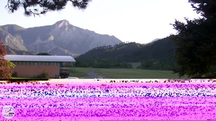 2025-05-23