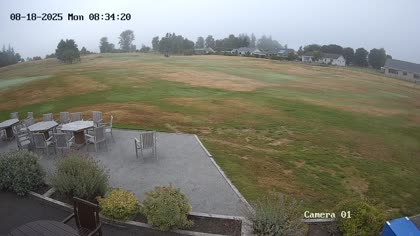2025-08-19