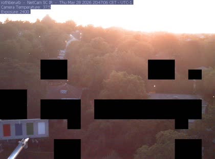 2026-05-29