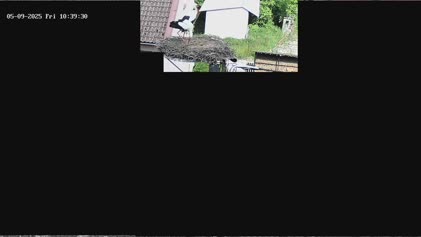 2025-05-09