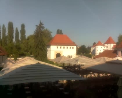 2026-07-29