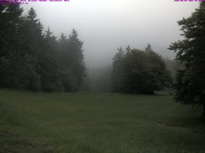 2026-06-09