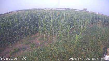 2026-08-29