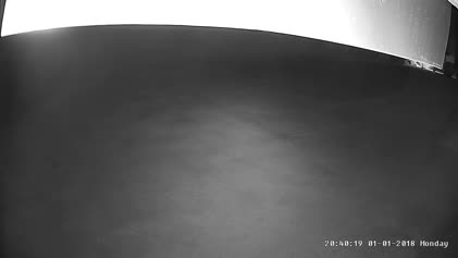 2025-04-13