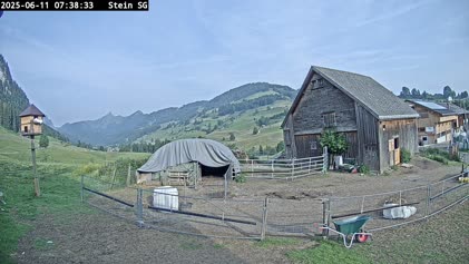 2025-06-11