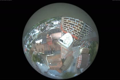 2025-07-29