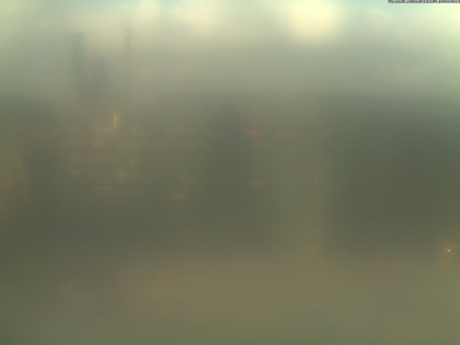 2025-05-29