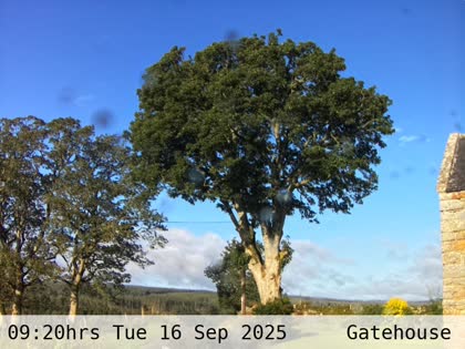 2025-09-16