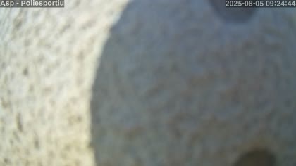 2025-08-05