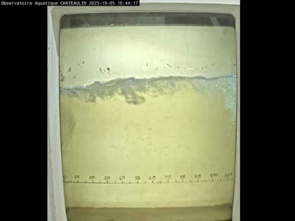 2025-10-05