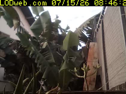 2026-07-15