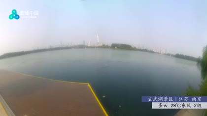 2025-08-05