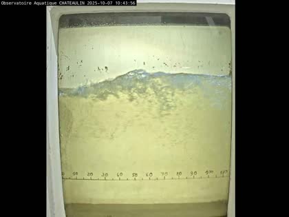 2025-10-07