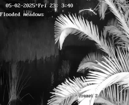 2025-05-03