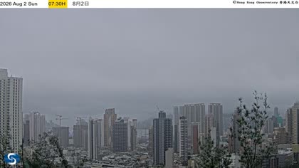 2026-08-02