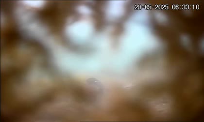 2025-05-28