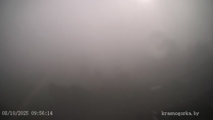 2025-10-08