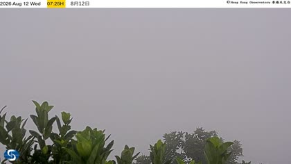 2026-08-12