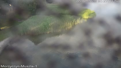 2025-07-05