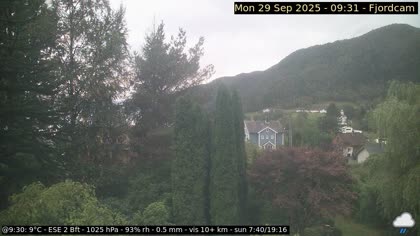 2025-09-29