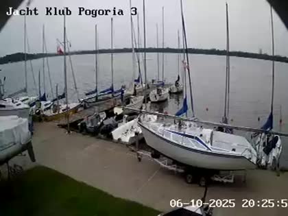 2025-06-10