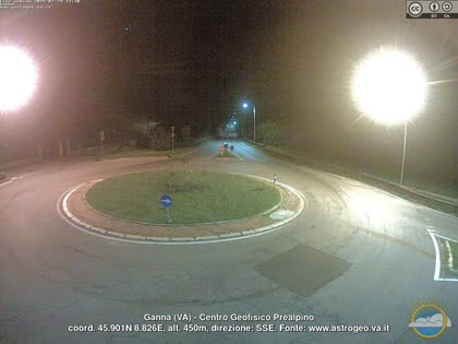 2025-07-31