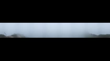 2026-06-11