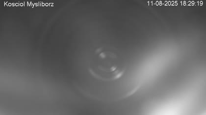2025-08-11