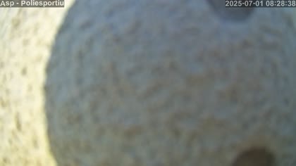 2025-07-01