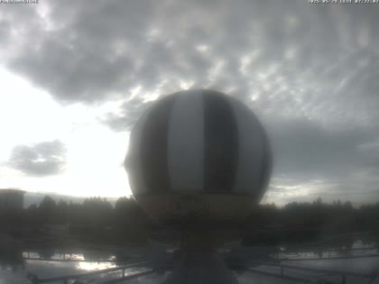 2025-05-29