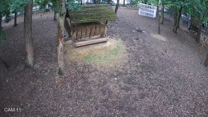 2026-06-05