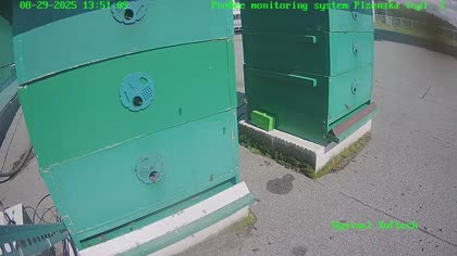 2025-08-31