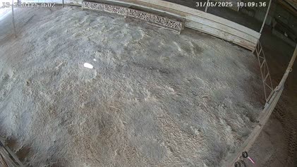 2025-05-31