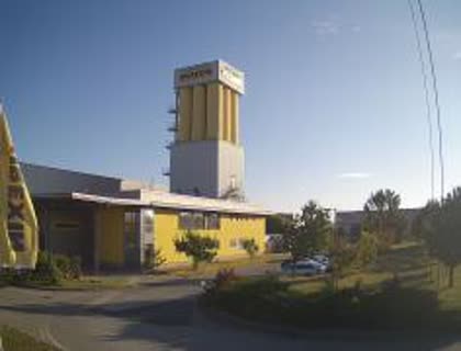 2025-10-08