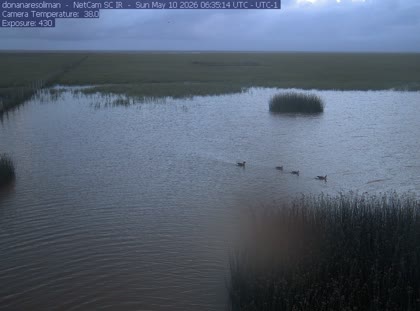 2026-05-10