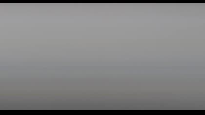 2025-07-29