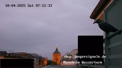 2025-10-04