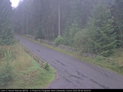 2025-08-04