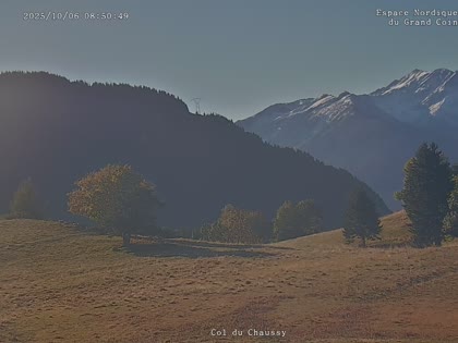 2025-10-06