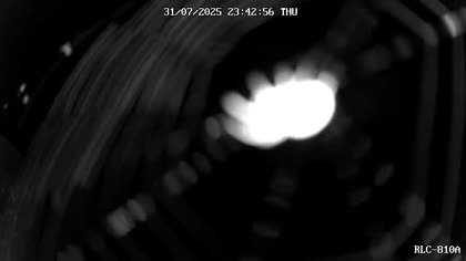 2025-08-01