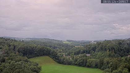 2025-07-28