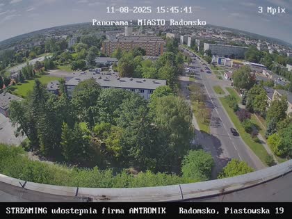 2025-08-11