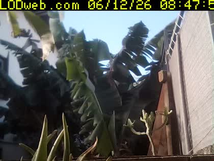2026-06-12