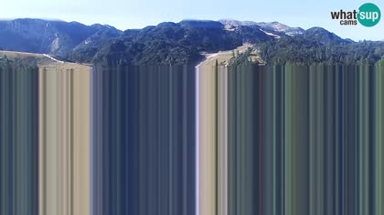 2025-08-25