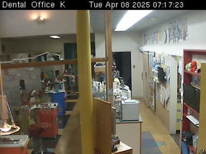 2025-04-08