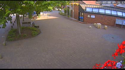 2025-07-08