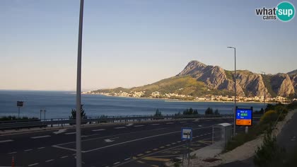 2026-05-24