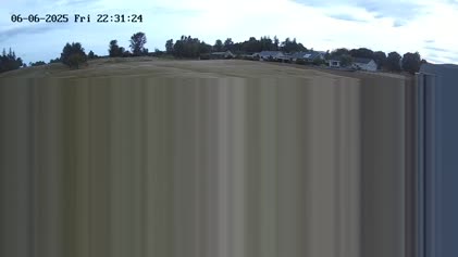 2025-06-07