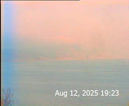 2025-08-13